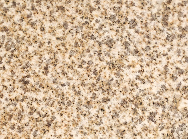 黃金麻大黃光面